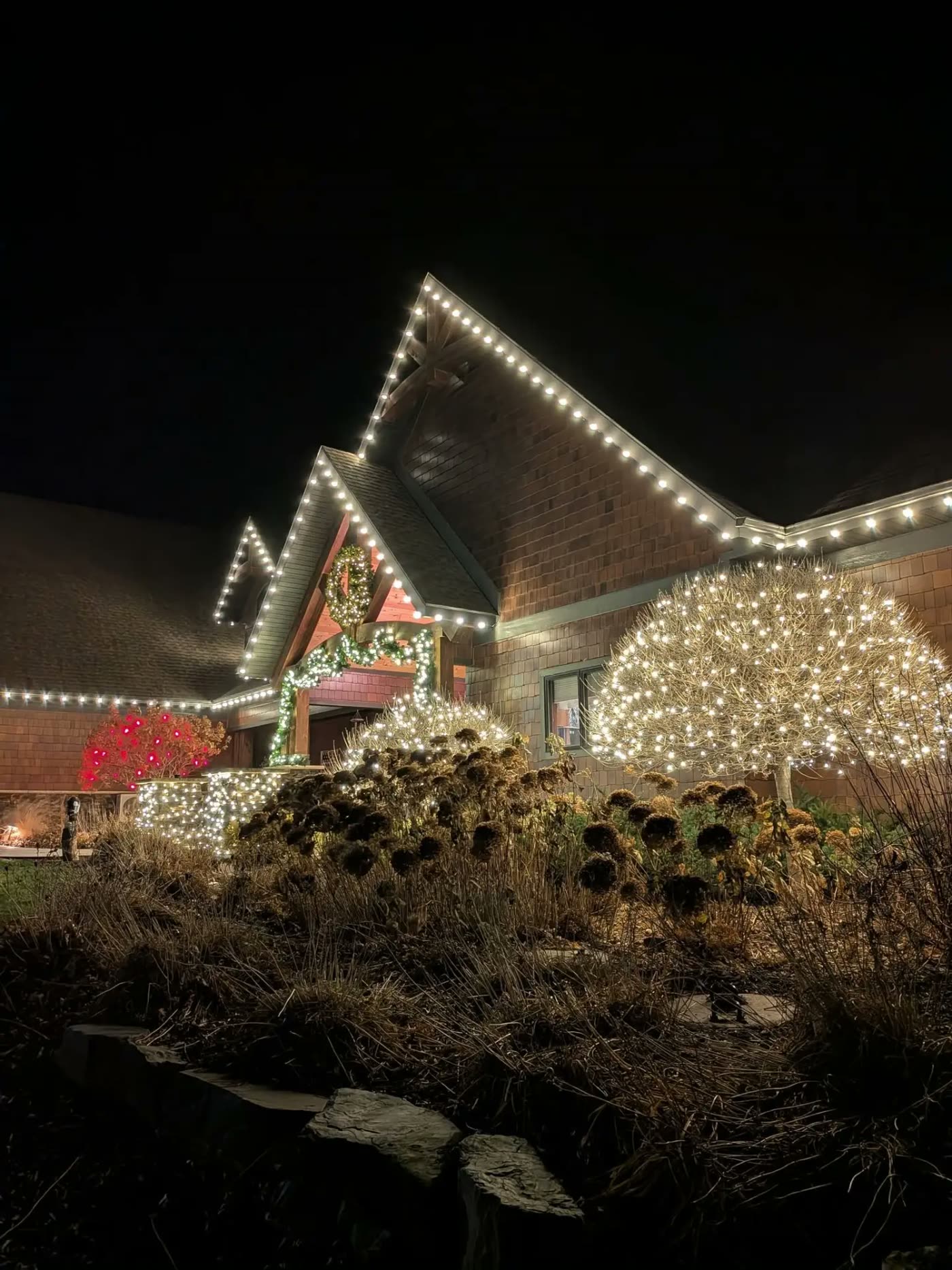 Shingle-style home with warm white roofline lighting and fully wrapped landscape trees and shrubs